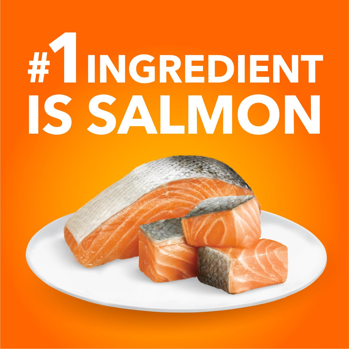 IAMS Proactive Health Adult Dry Cat Food, Salmon, 3.18kg