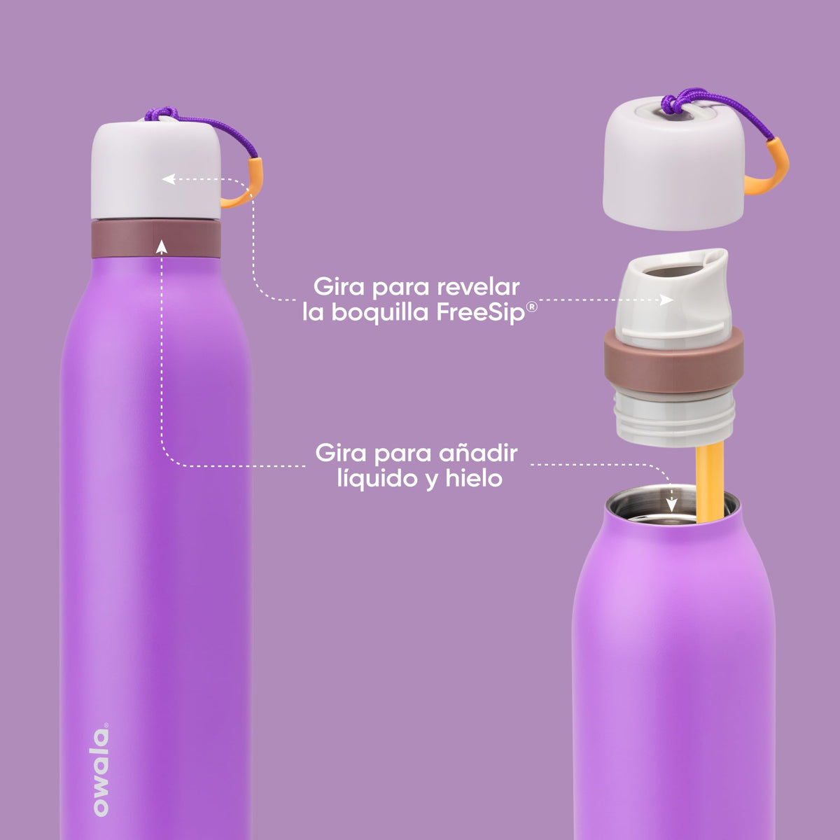 Owala FreeSip Twist Water Bottle, 24oz, California Grapevine