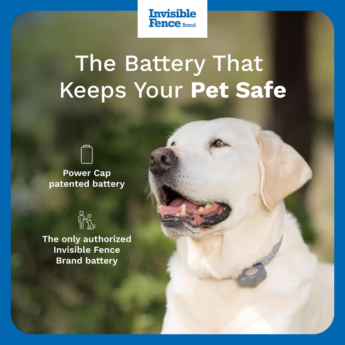 Invisible Fence Power Cap Batteries for Microlite Collars, 2-Pack