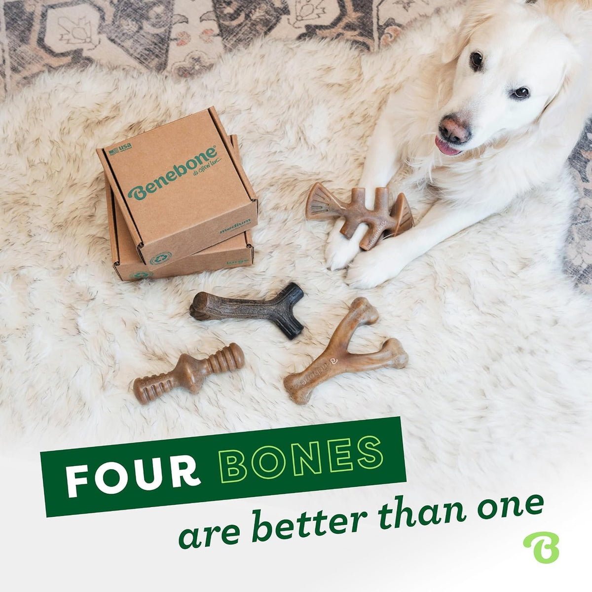 Benebone Durable Dog Chew Toys, Medium, 4-Pack