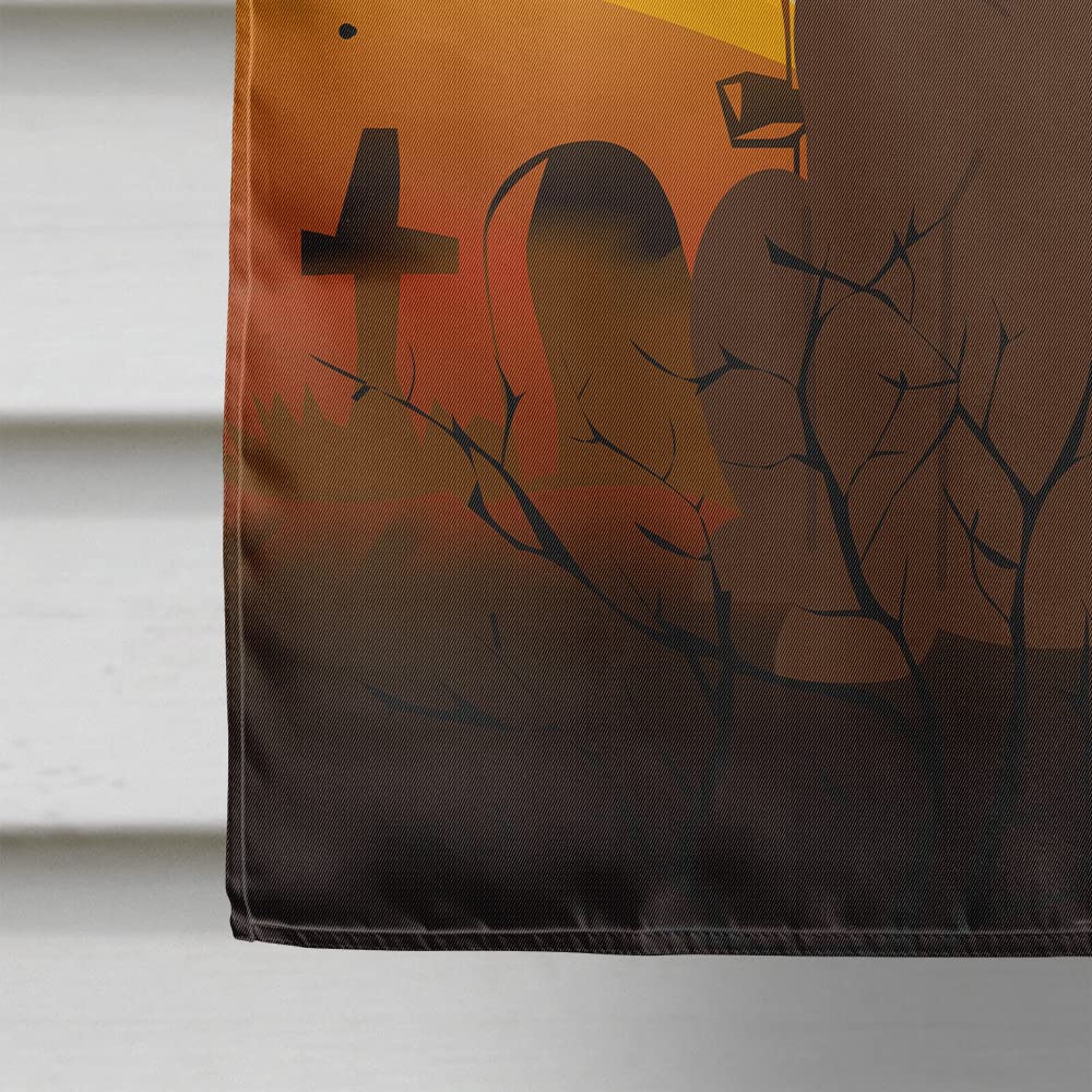 Caroline's Treasures BB4322CHF Chocolate Labrador Flag, Large