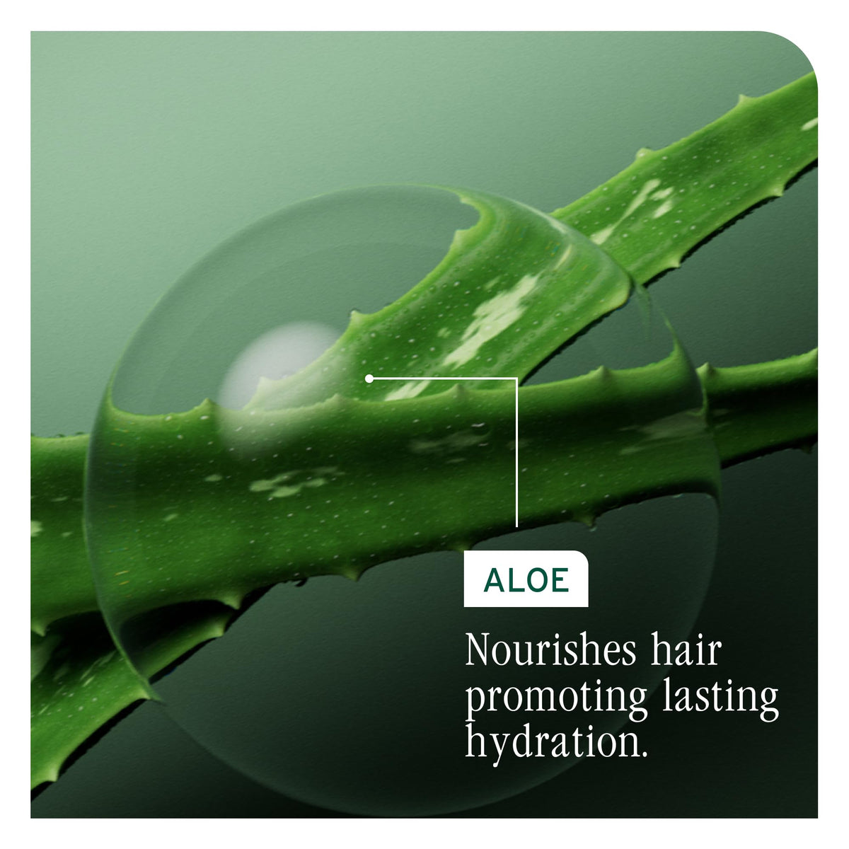Biolage HydraSource Hydrating Shampoo for Dry Hair