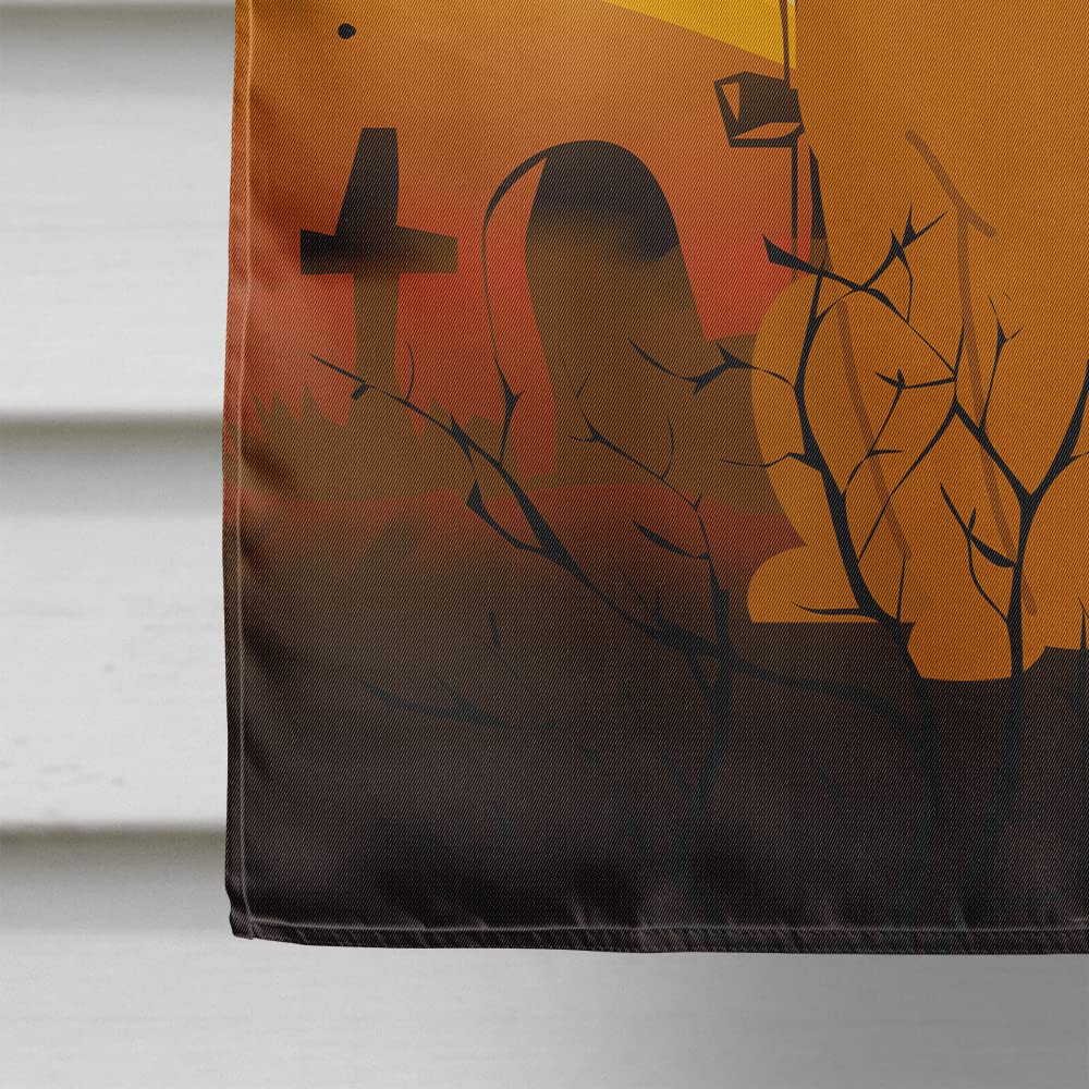 Caroline's Treasures BB4381CHF Fawn Boxer Flag, Large