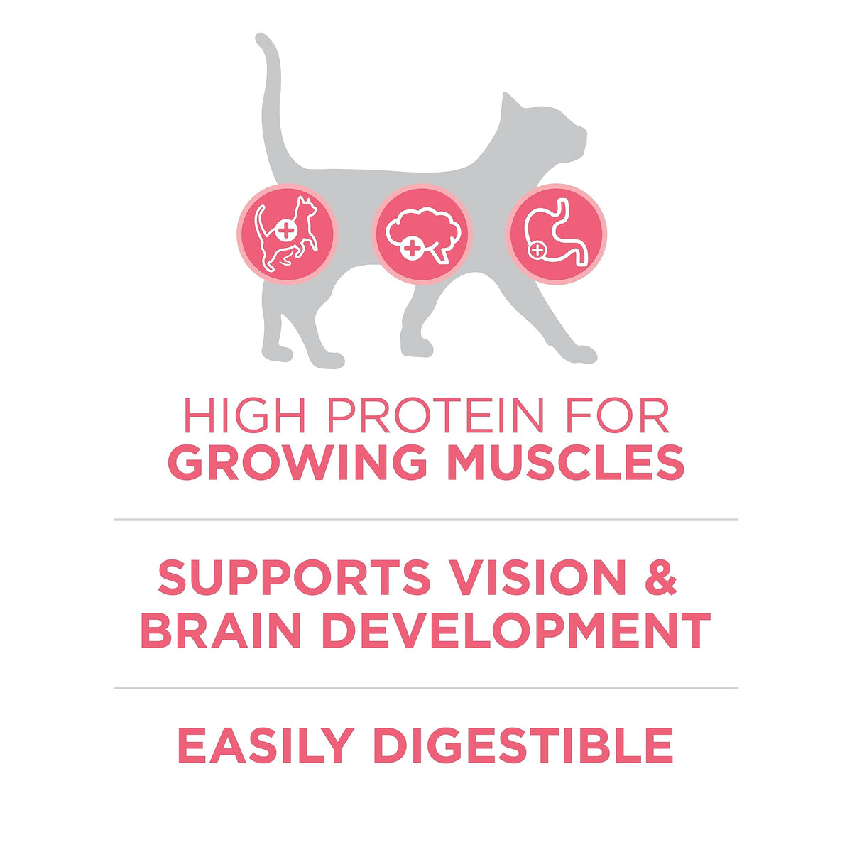 Purina ONE +Plus Healthy Kitten Dry Food, Chicken, 3 kg