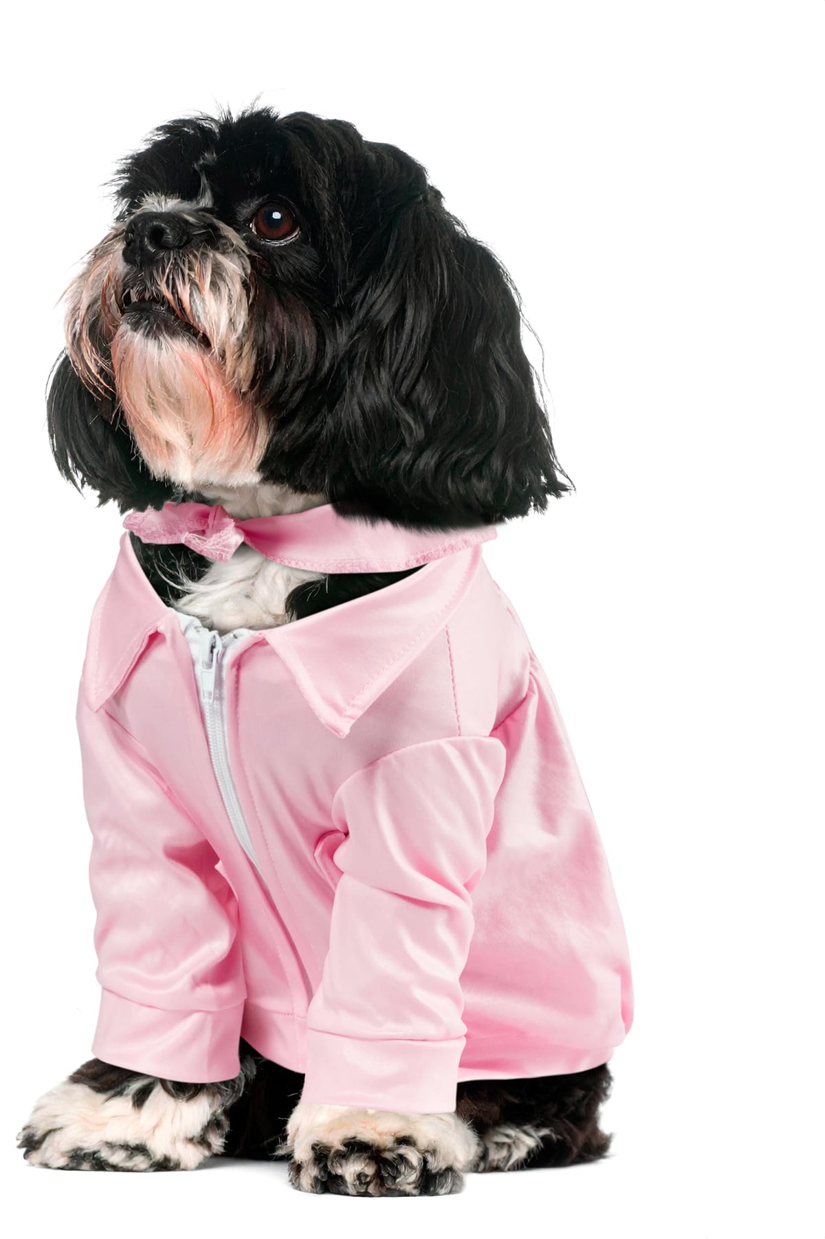 Rubies Grease 40th Anniversary Pink Ladies Pet Jacket, X-Small