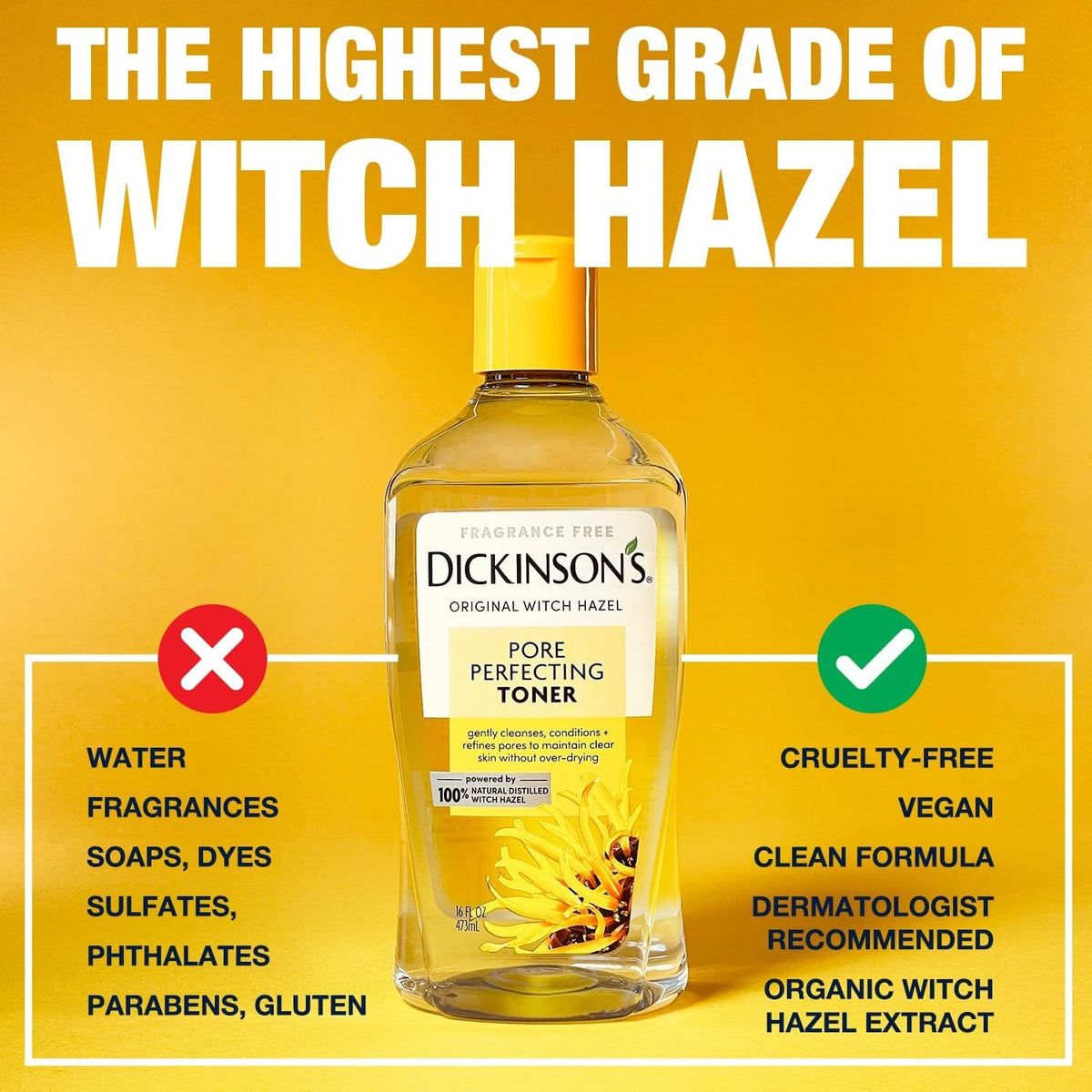 Dickinson's Original Witch Hazel Pore Perfecting Toner, 16 oz