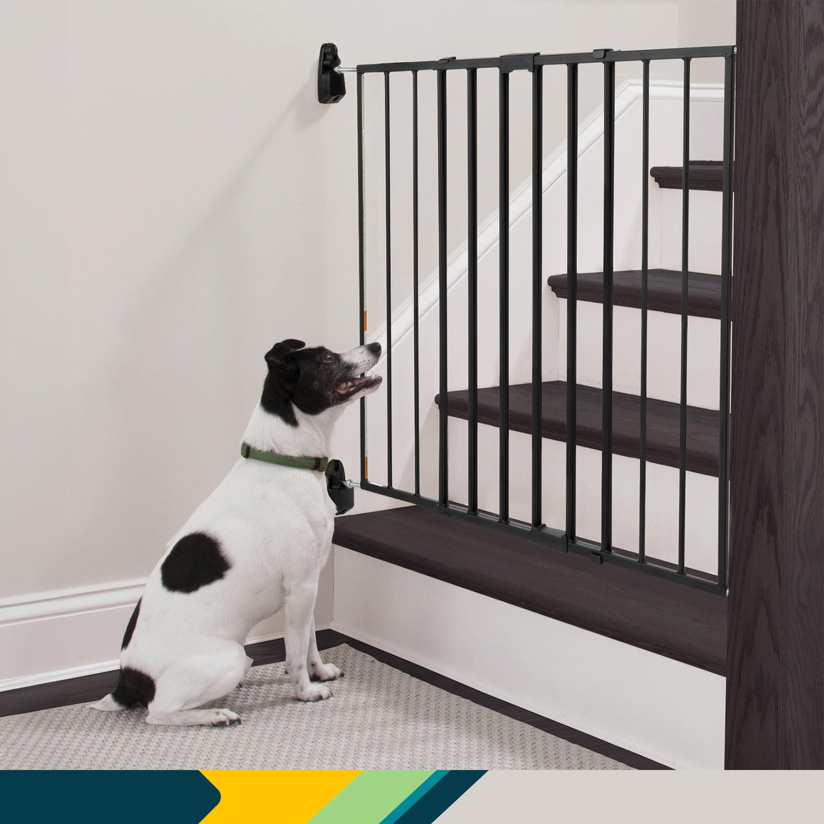 Safety 1st Top of Stairs Expanding Metal Baby Gate, Black