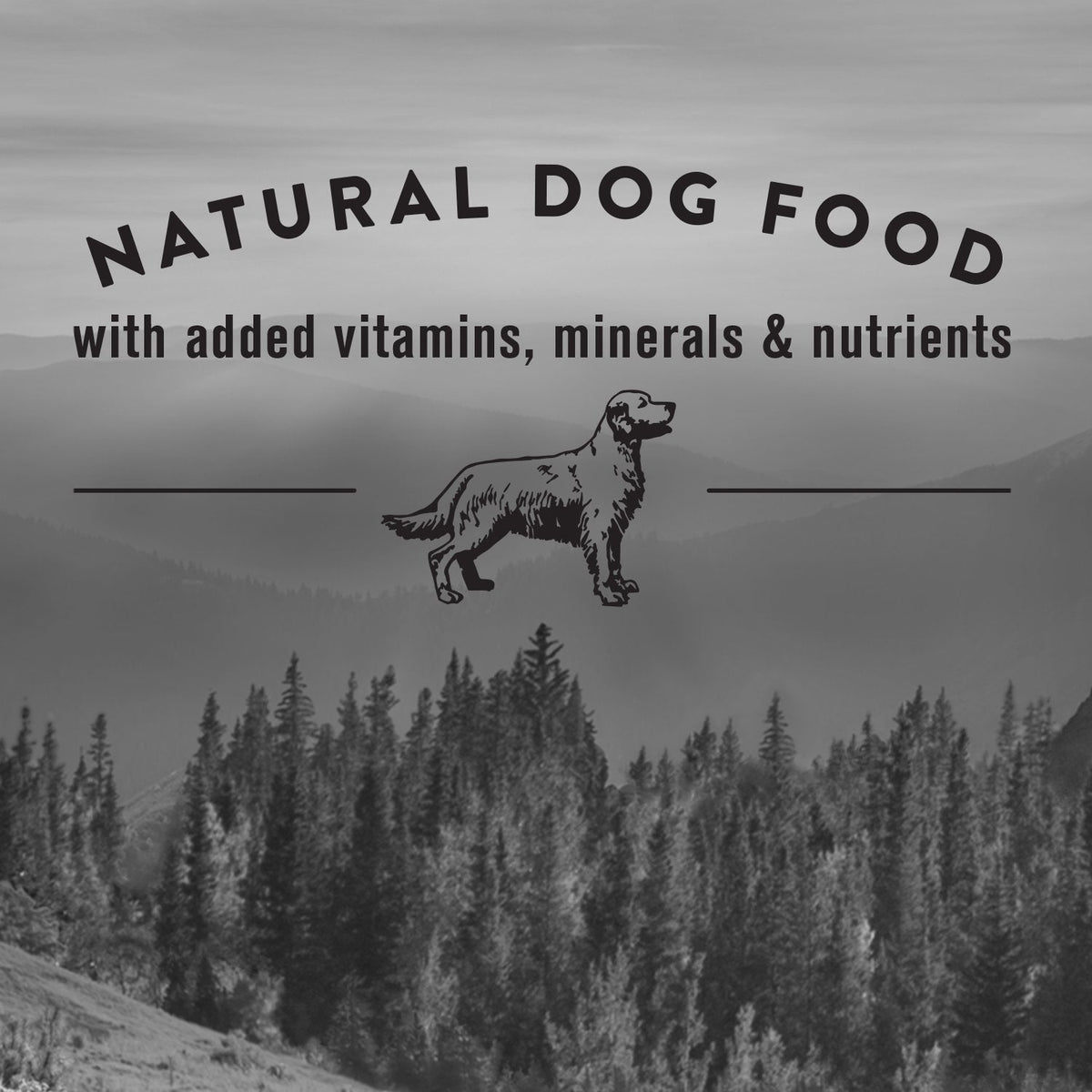 Nature's Recipe Adult Grain-Free Dog Food, Lamb, Sweet Potato, 10.8kg