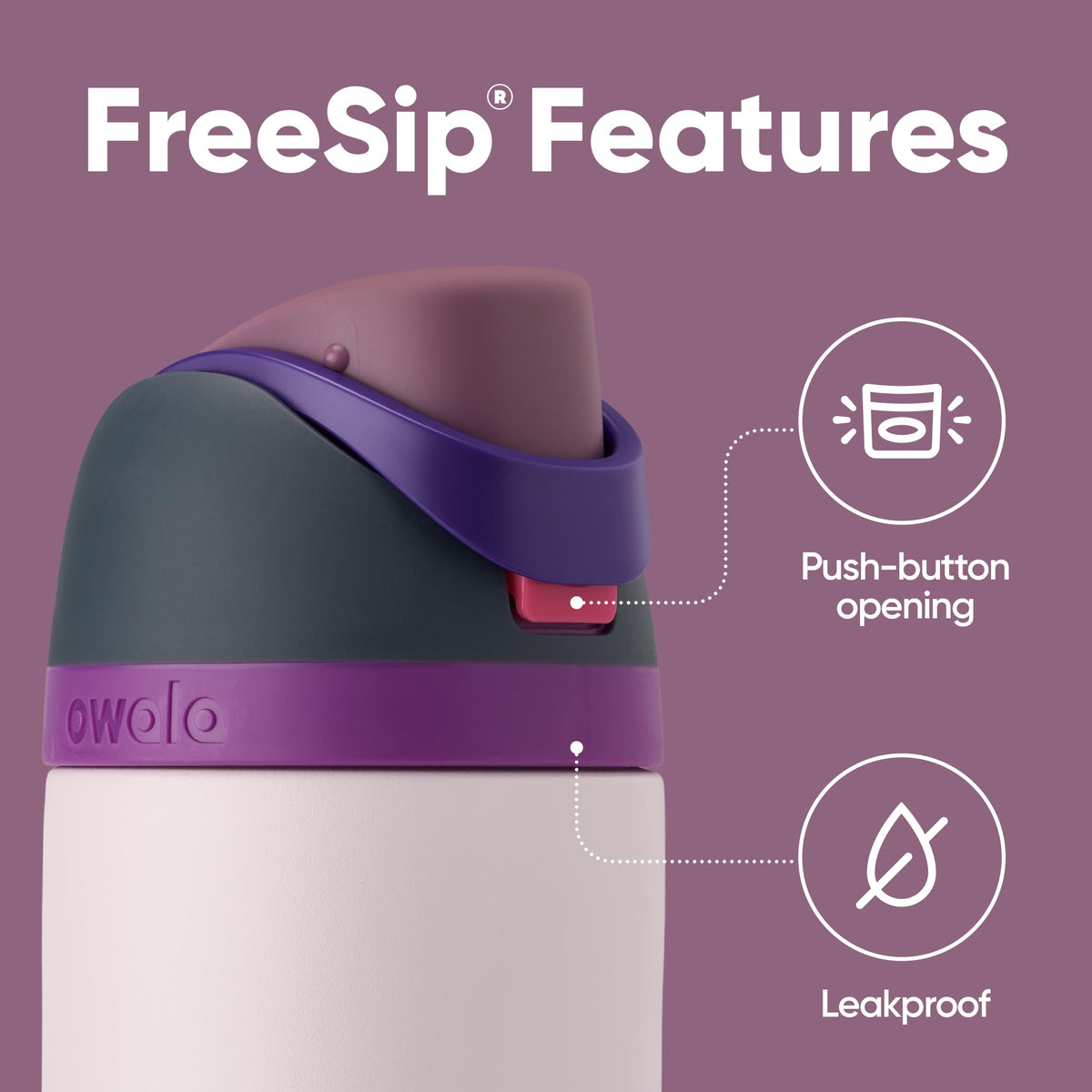 Owala FreeSip Insulated Water Bottle, 24 oz, Dreamy Field