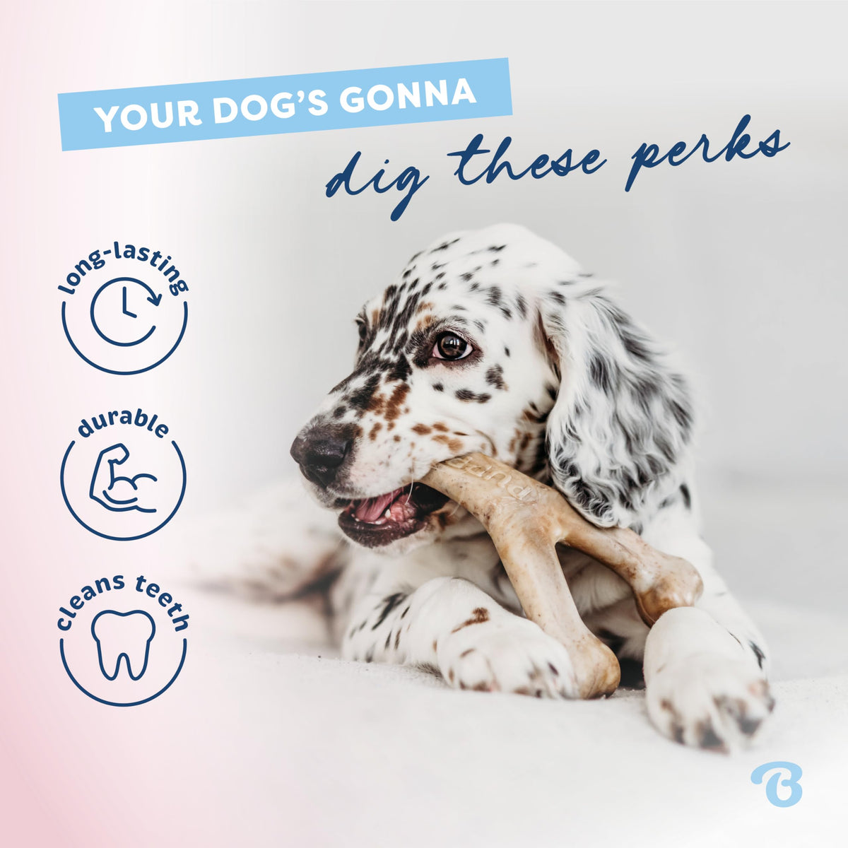 Benebone Puppy 4-Pack Dog Chew Toys, Small