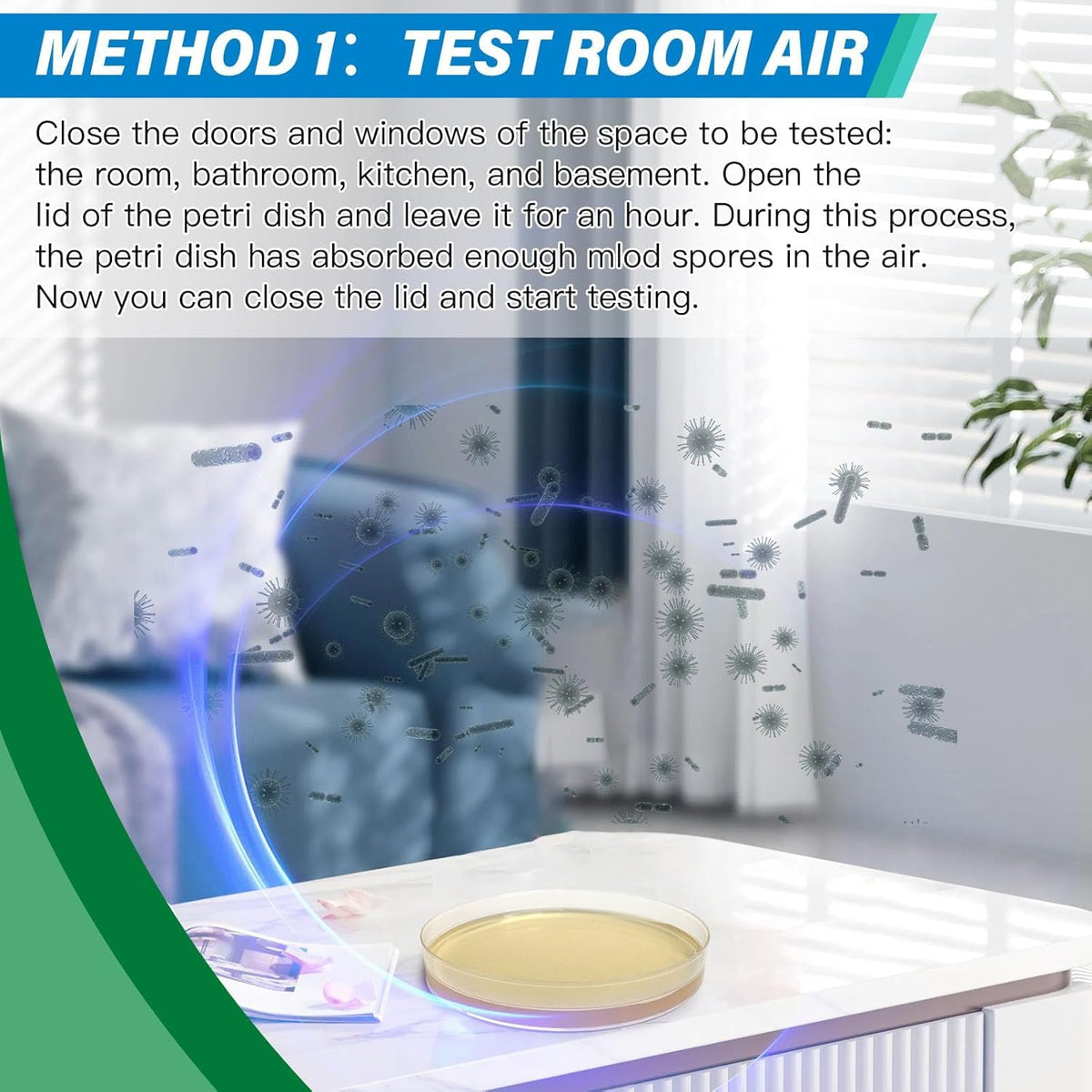 Home Mold Test Kit, 12 Tests