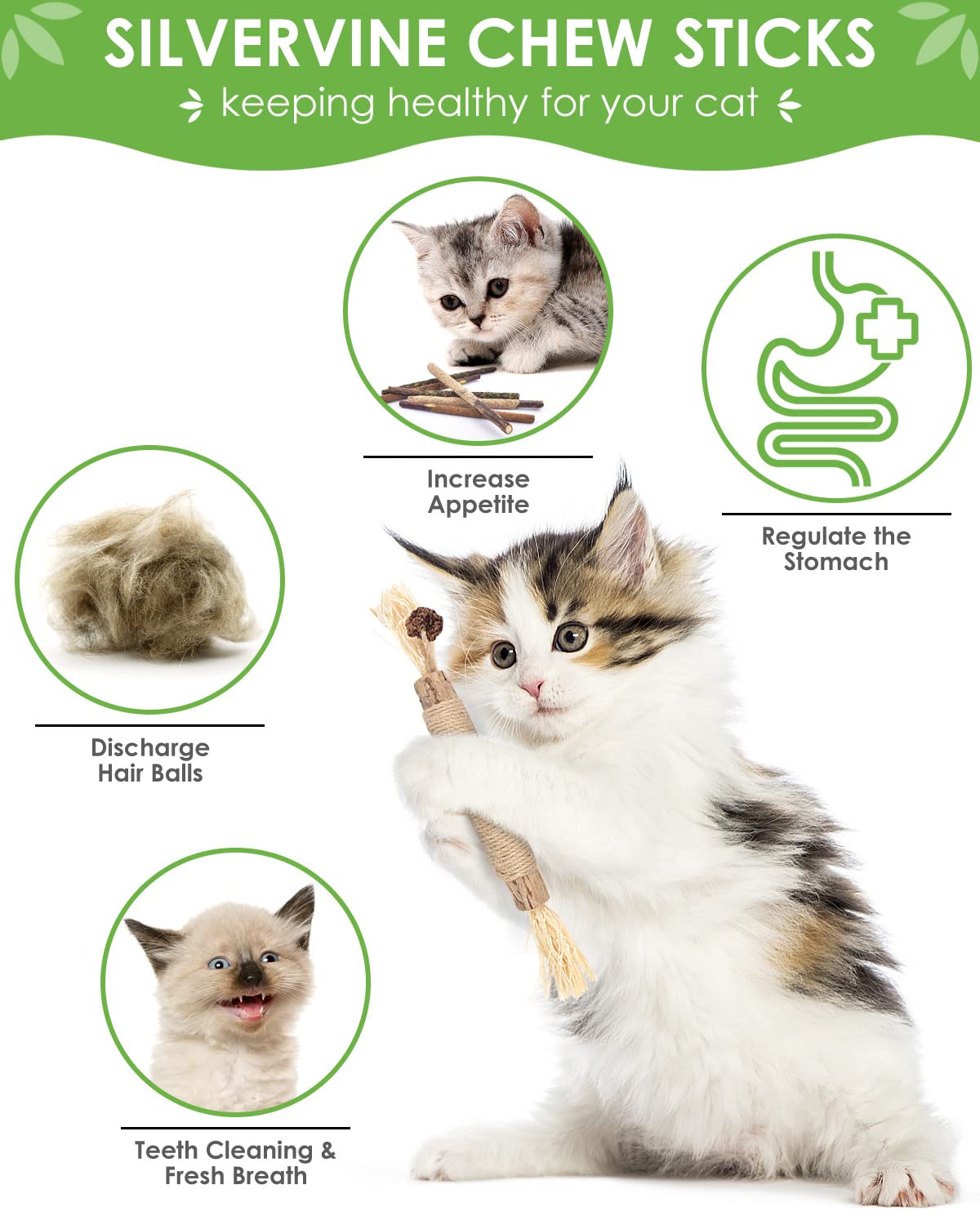TINDTOP Silvervine Sticks for Cats, 10 Pack