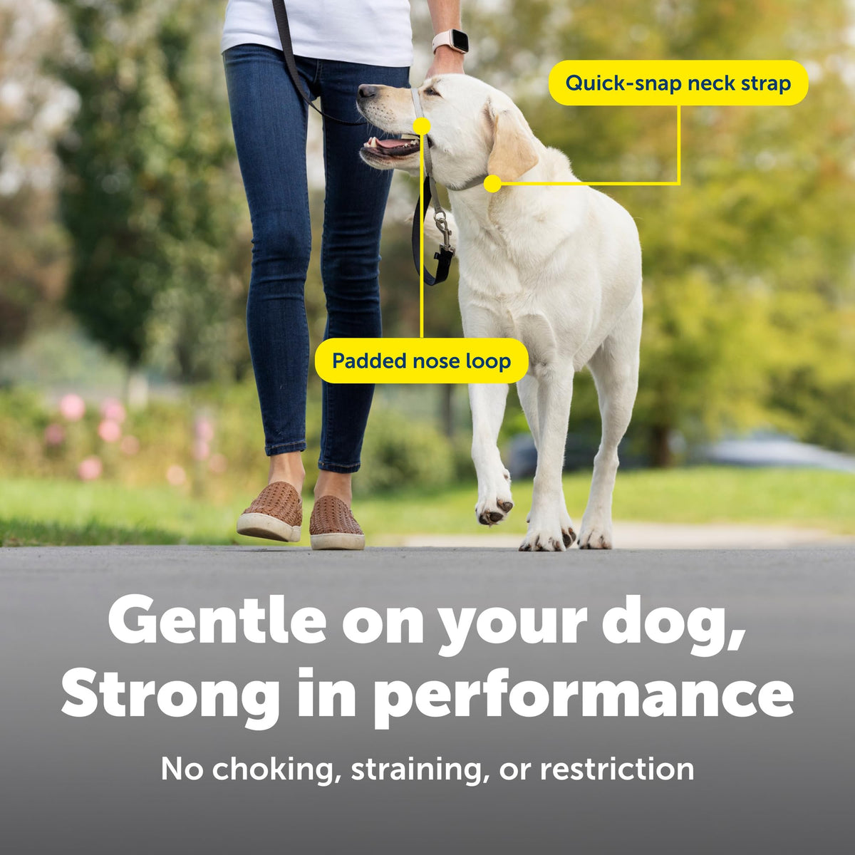 PetSafe Gentle Leader No-Pull Dog Headcollar, Large, Charcoal