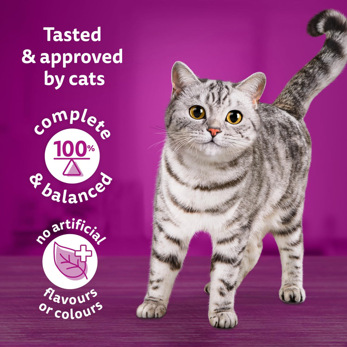 Whiskas Seafood Selections Dry Cat Food, Salmon and Shrimp, 9.1 kg
