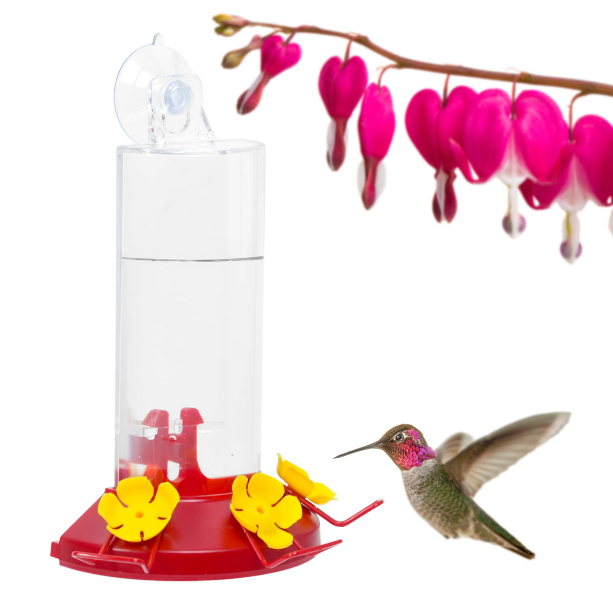 Perky-Pet Window Mount Hummingbird Feeder, 8 oz, 217