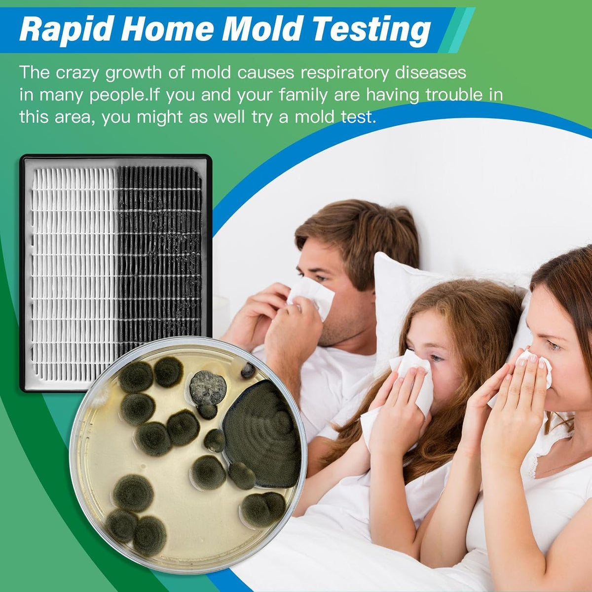 Home Mold Test Kit, 12 Tests
