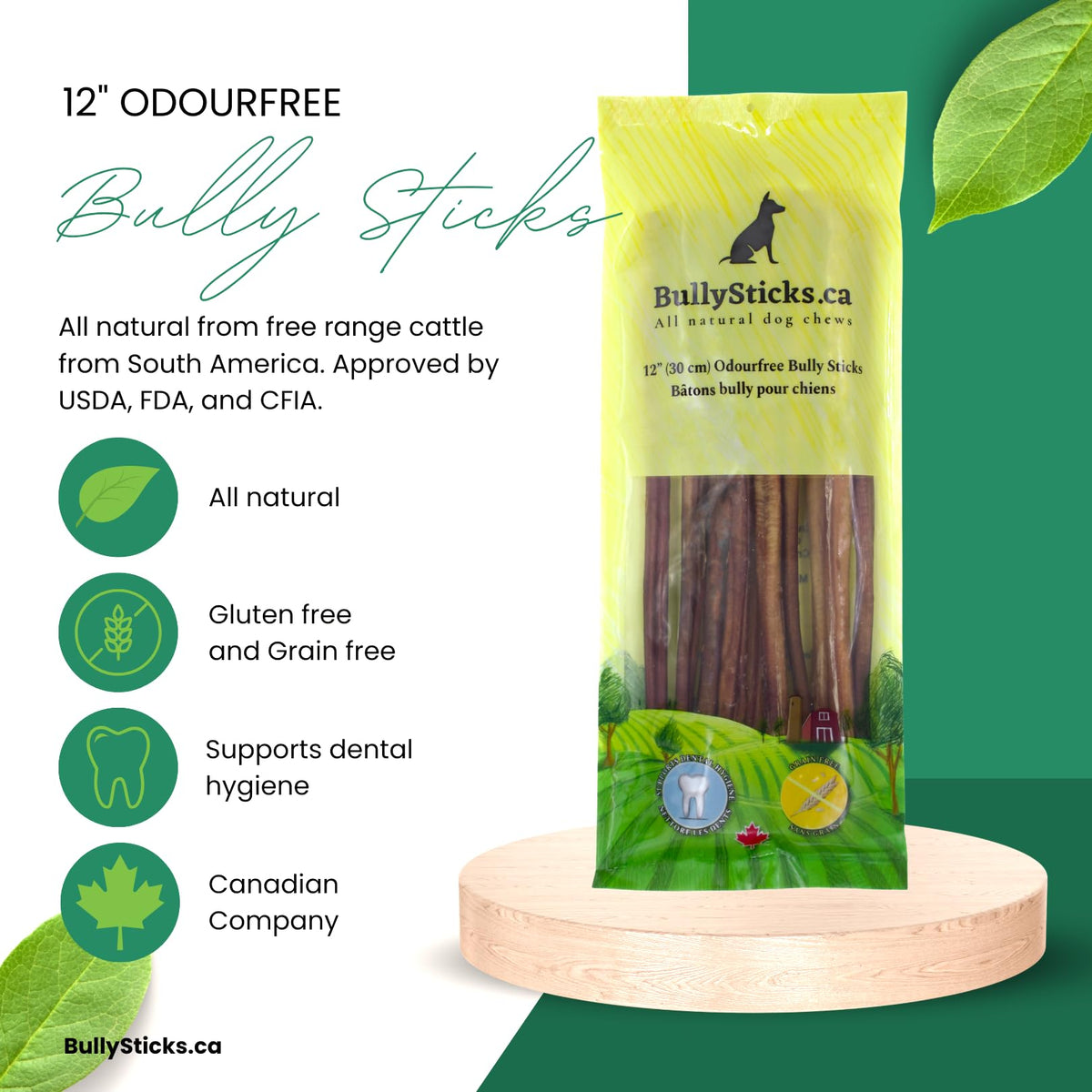ODOURFREE 12" Standard Bully Sticks for Dogs (10 Pack)