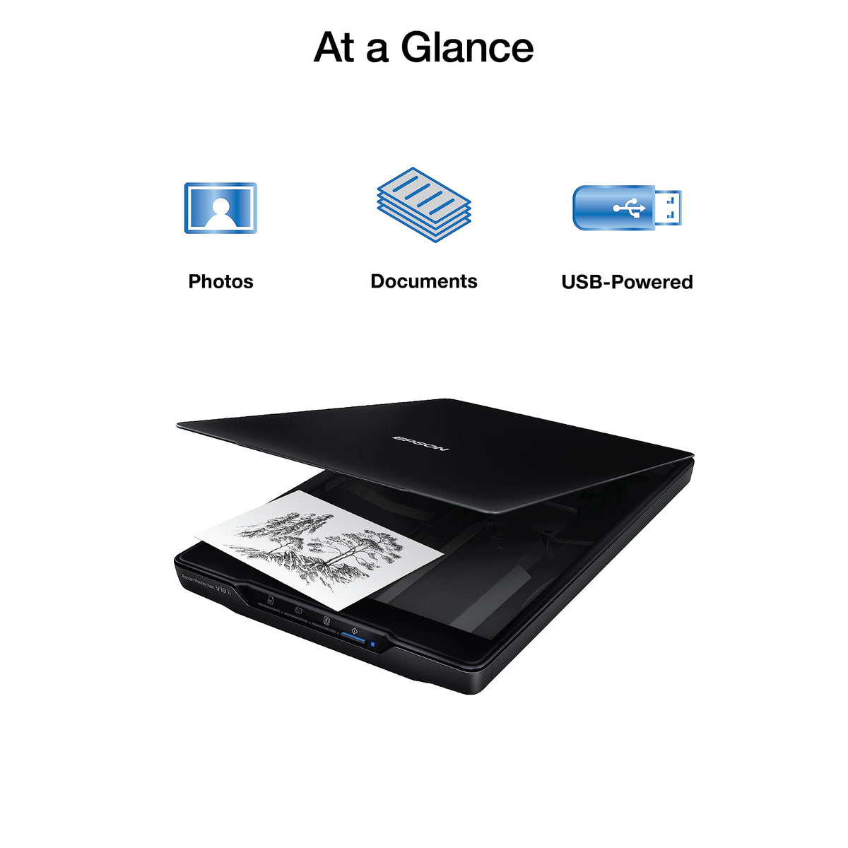 Epson Perfection V19 II Flatbed Photo Scanner, 4800 dpi