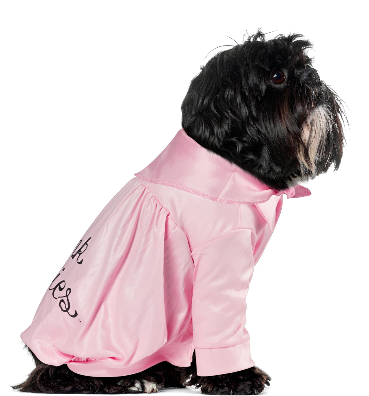 Rubies Grease 40th Anniversary Pink Ladies Pet Jacket, X-Small