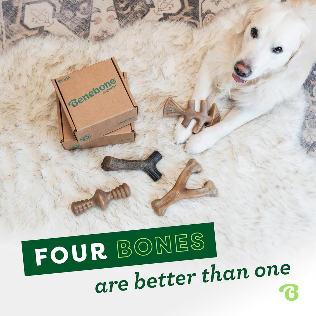 Benebone Small 4-Pack Dog Toys for Aggressive Chewers, Under 30 lbs