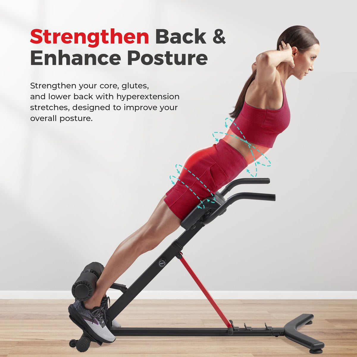 Sunny Health & Fitness Roman Chair Bench with Dip Station