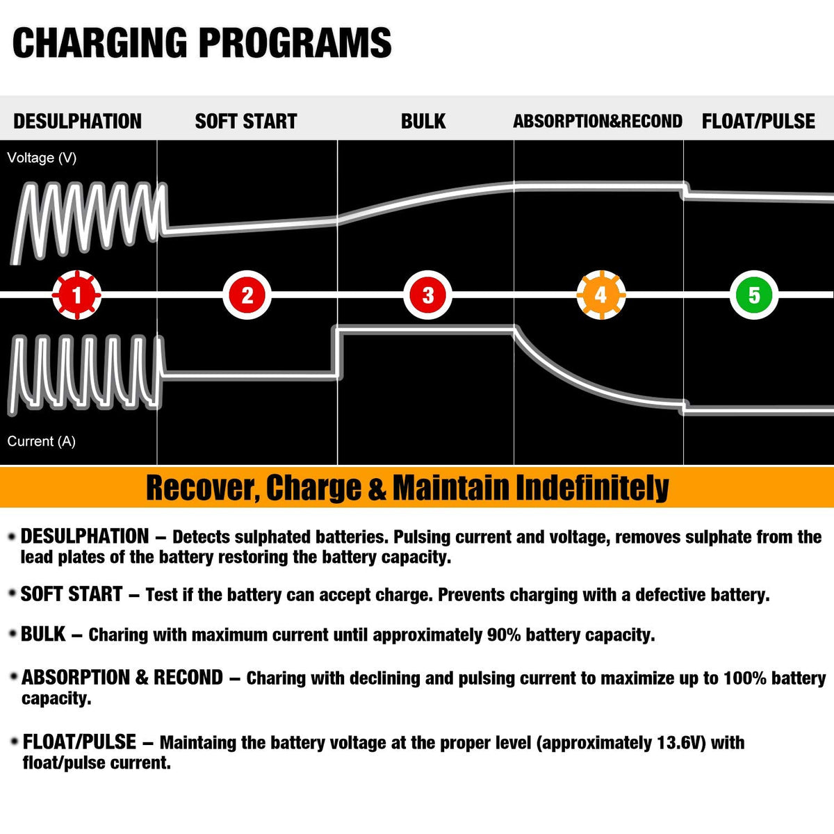 MOTOPOWER MP00205A 12V 800mA Battery Charger and Maintainer