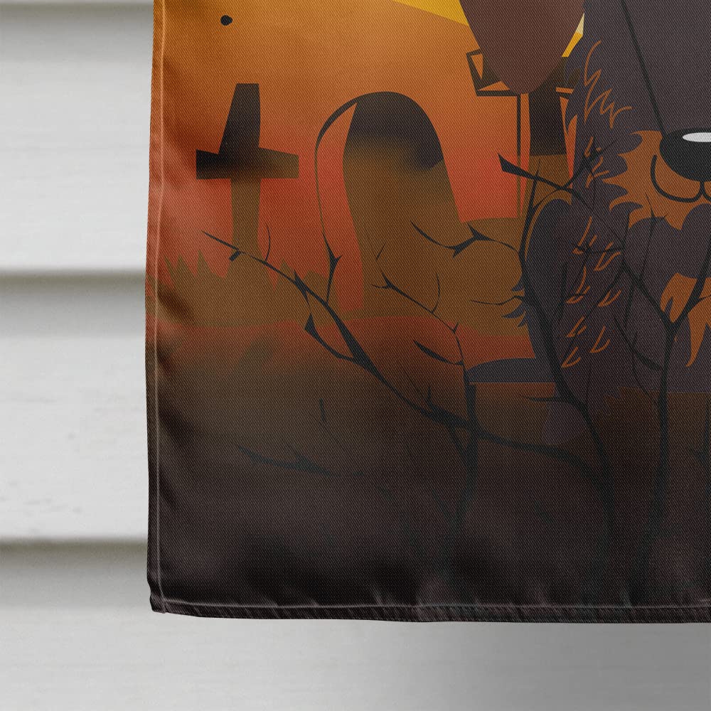 Caroline's Treasures BB4395CHF Wire Haired Dachshund Chocolate Flag