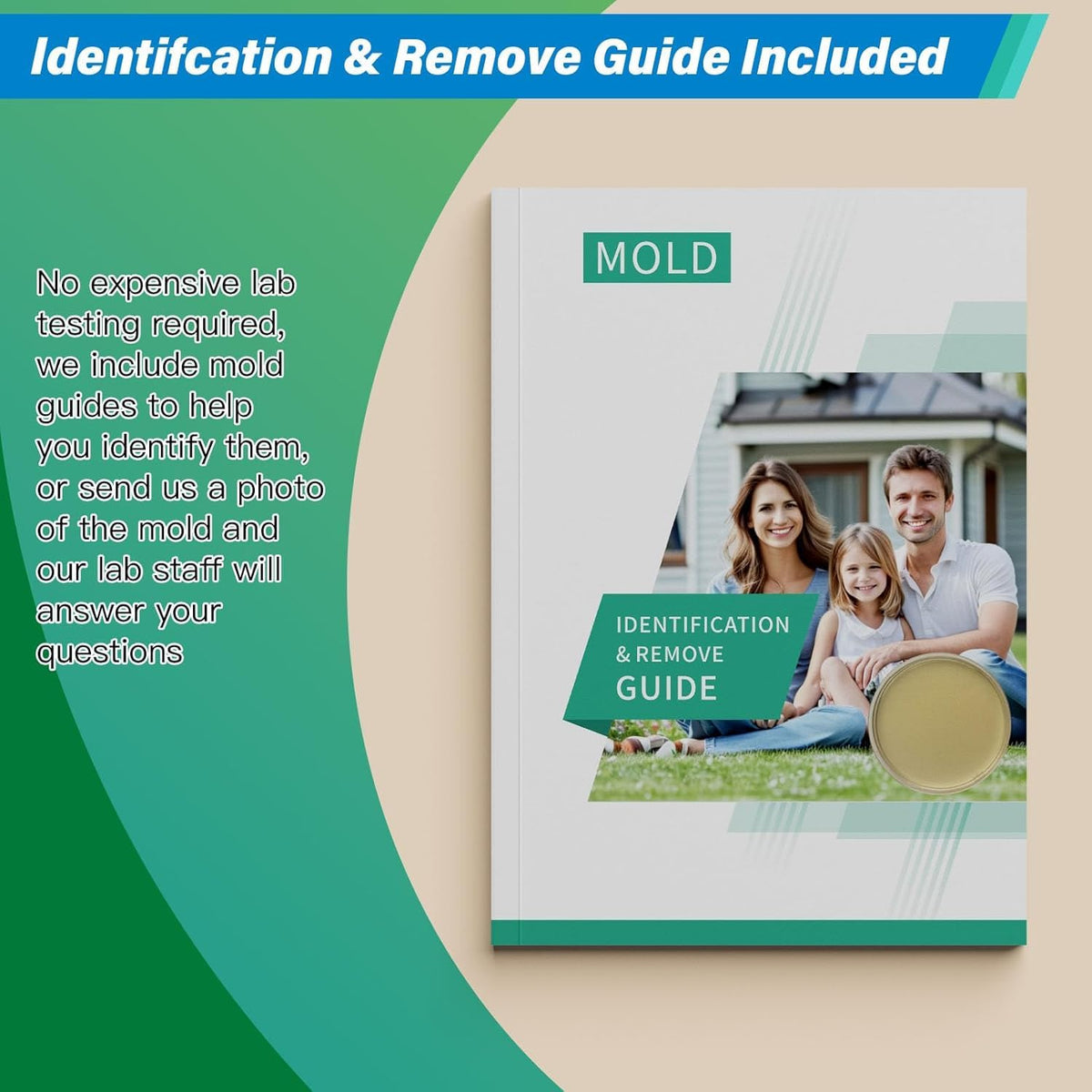 Home Mold Test Kit, 12 Tests