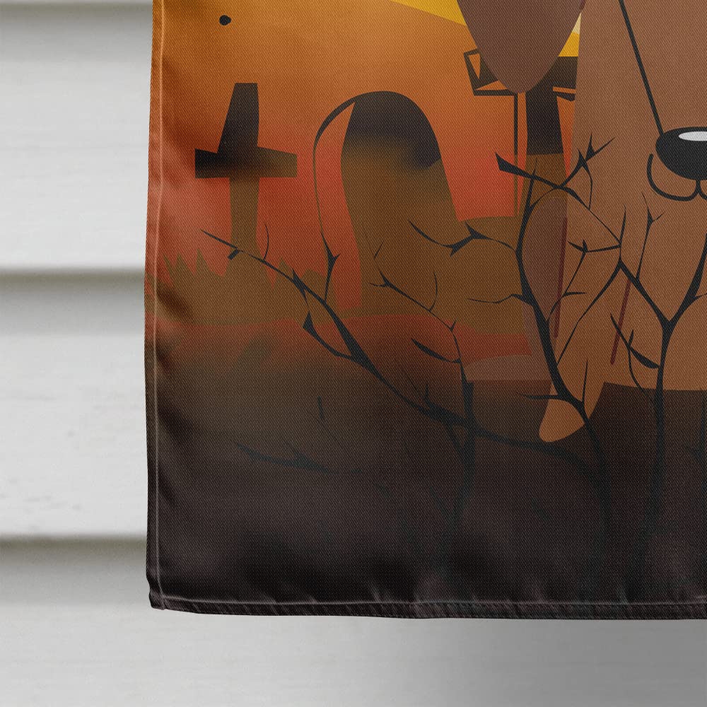 Caroline's Treasures BB4396CHF Dachshund Red Brown House Flag, Large