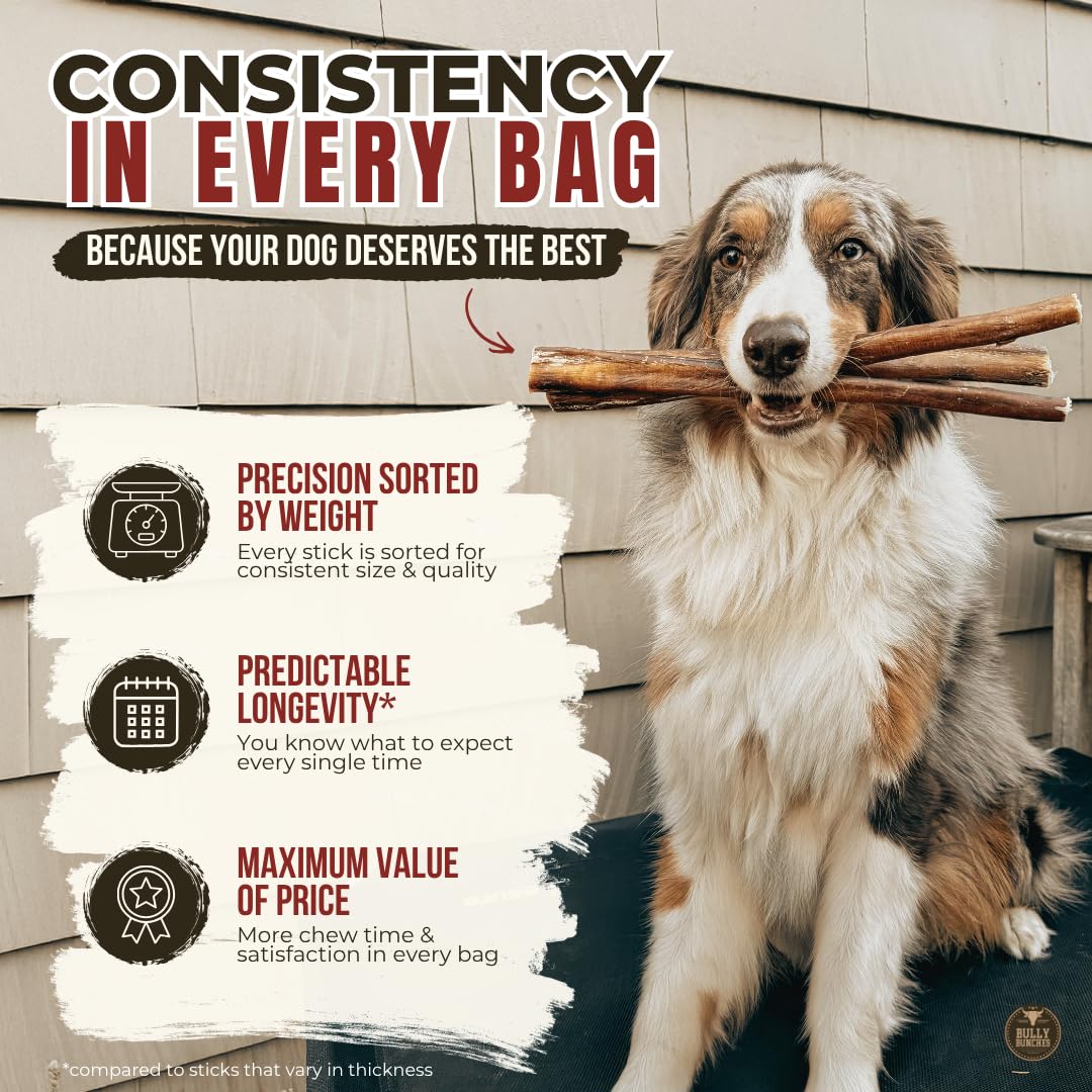 Bully Bunches 6" Standard Bully Sticks, 5 Pack