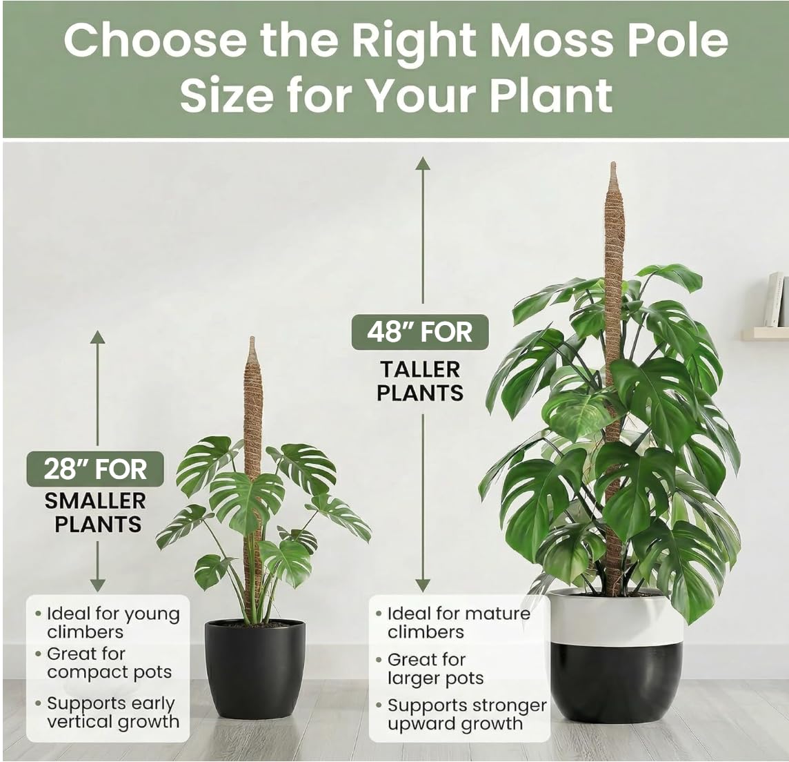 K-Brands Bendable Moss Pole Plant Support, 48" (2 Pack)