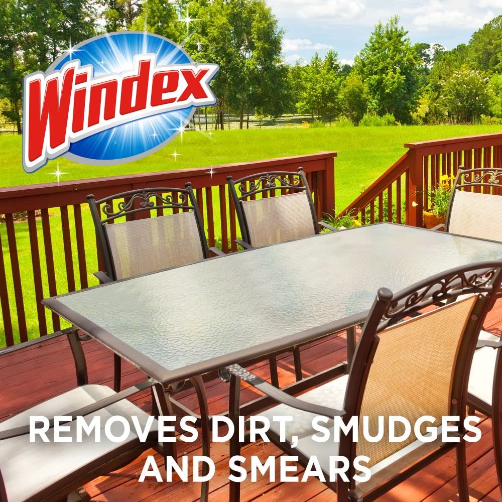 Windex Outdoor Window, Glass and Patio Cleaner Refill, 3.8 mL