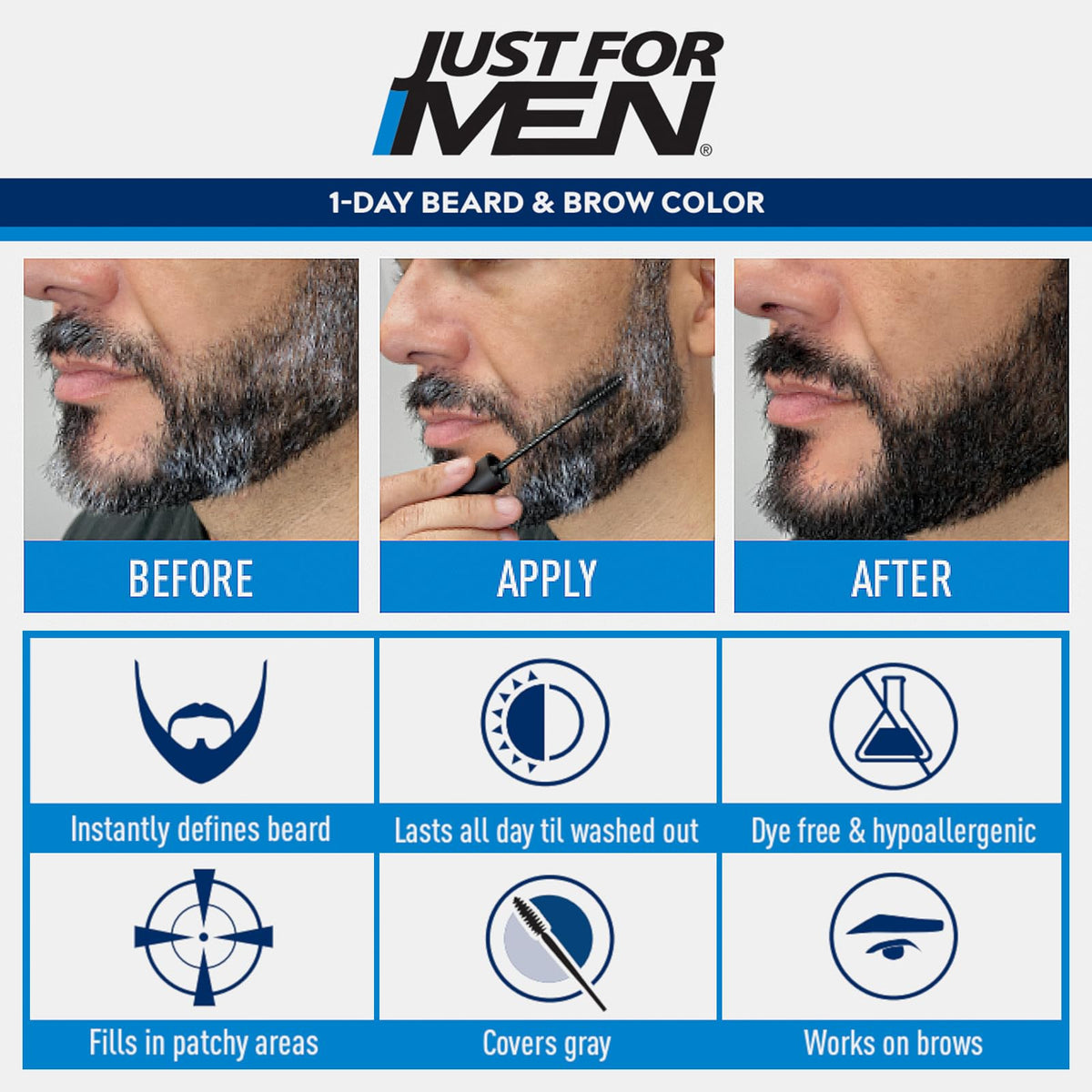 Just for Men 1-Day Beard and Brow Color, Black, 1 Count