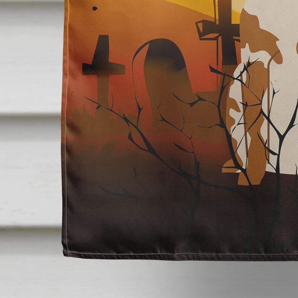 Caroline's Treasures BB4338CHF Brittany Spaniel Flag, Large