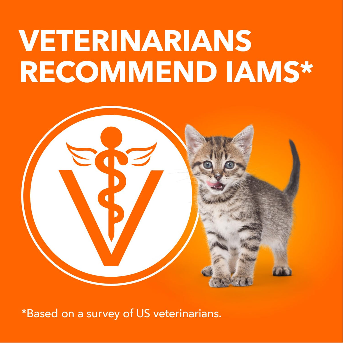 IAMS Perfect Portions Kitten Wet Cat Food, Chicken, 24 x 75 g