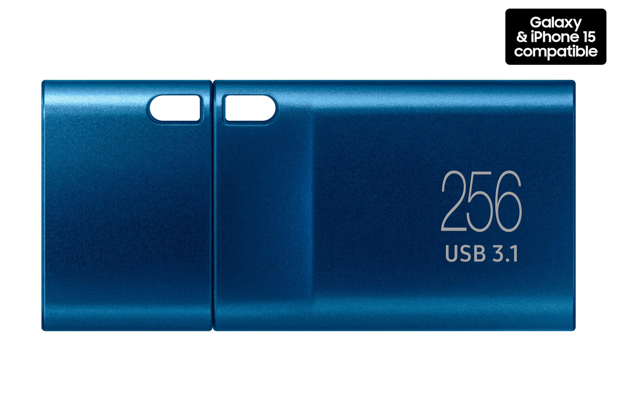 Samsung Type-C USB Flash Drive, 256GB, MUF-256DA/AM (Canada Version)