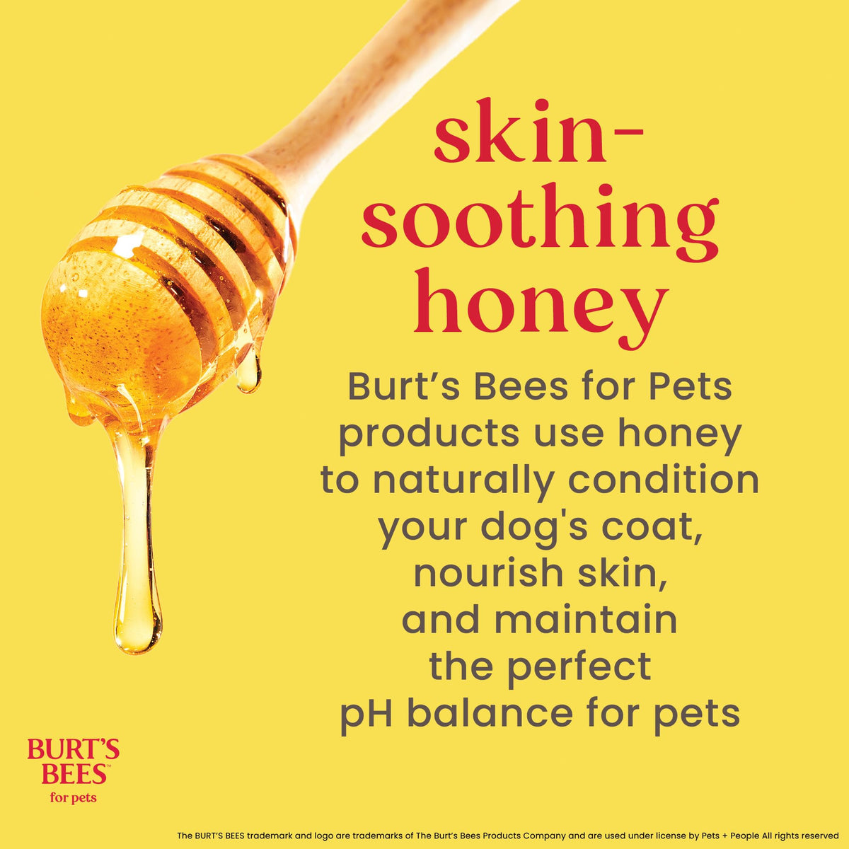 Burt's Bees for Pets Puppy 2-in-1 Shampoo & Conditioner, 16 oz