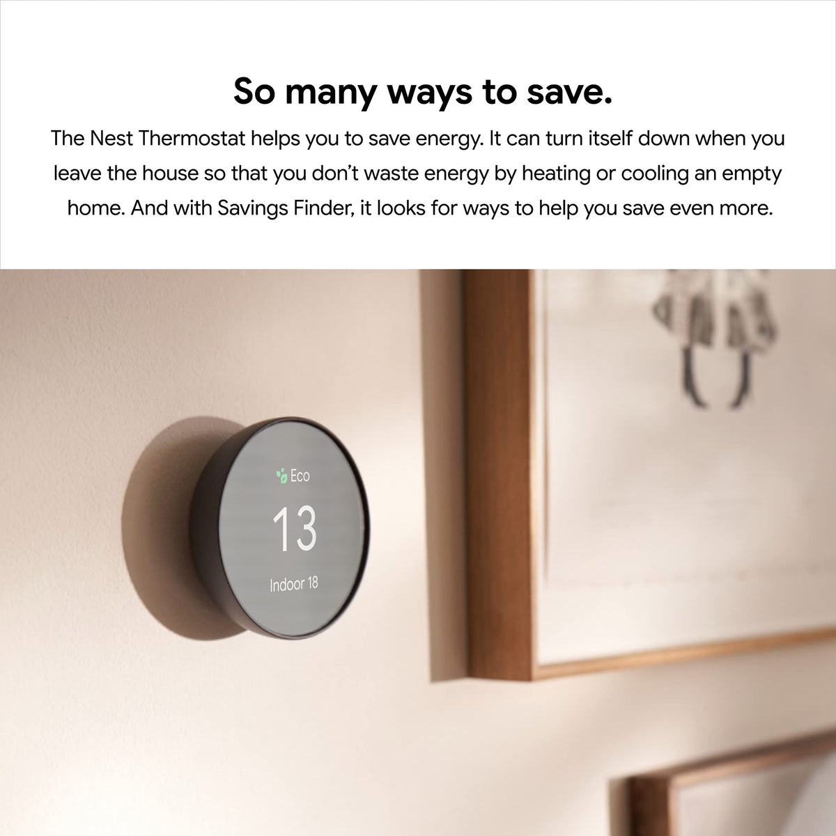 Google Nest Thermostat, Fog