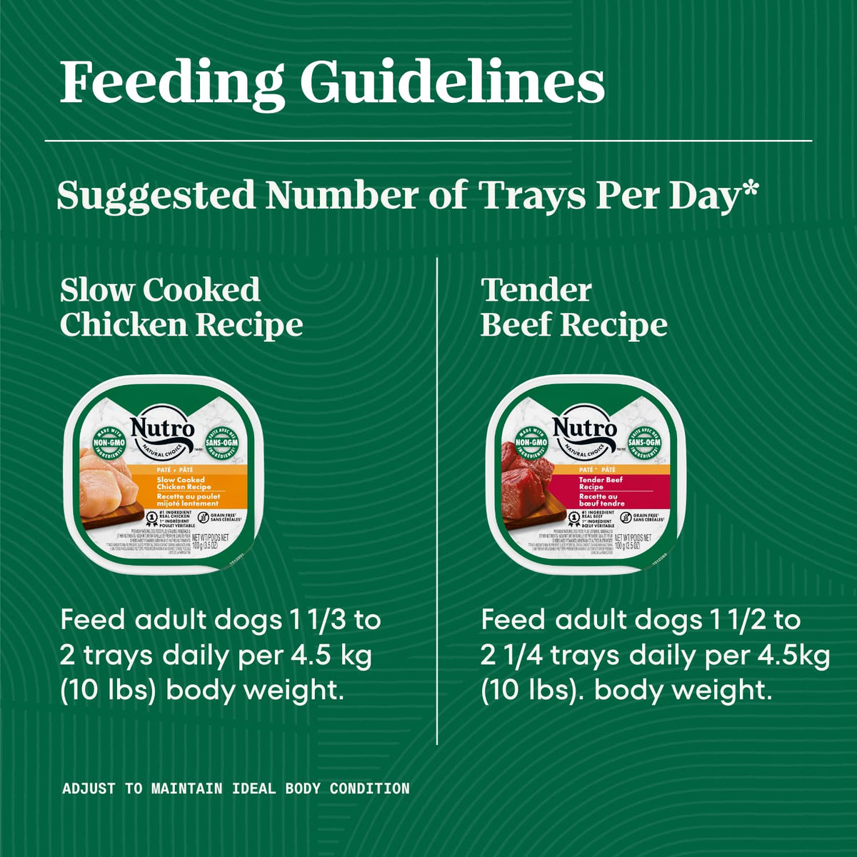 Nutro Natural Choice Adult Wet Dog Food, Cuts in Gravy, 12 x 100 g