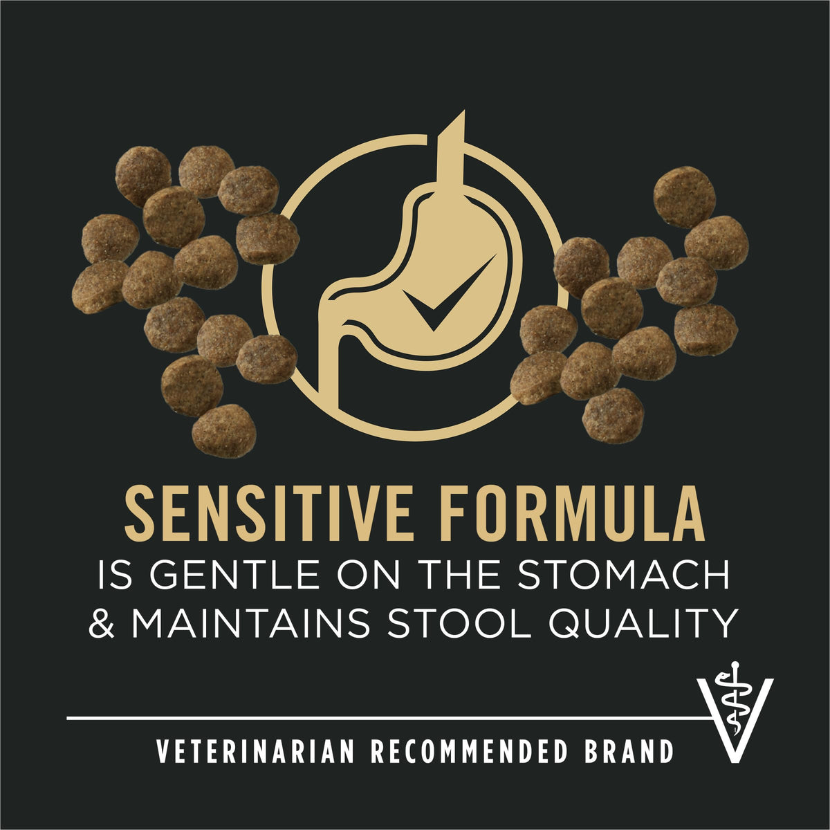 Purina Pro Plan Puppy Sensitive Skin and Stomach Salmon, 10.9 kg