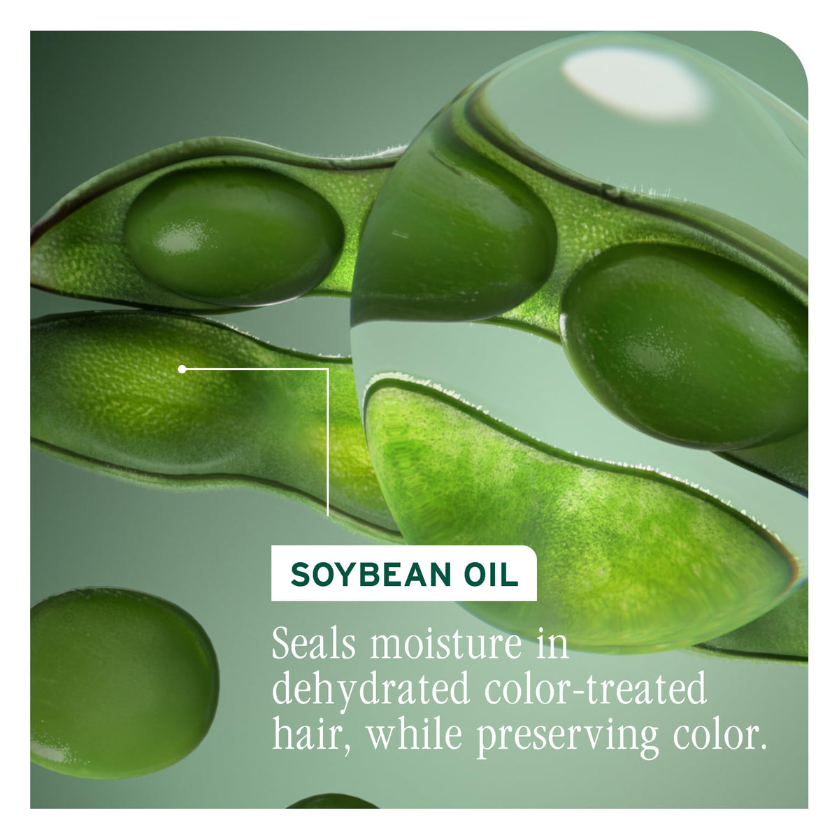 Biolage ColorLast Conditioner for Color-Treated Hair