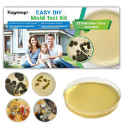 Home Mold Test Kit, 12 Tests