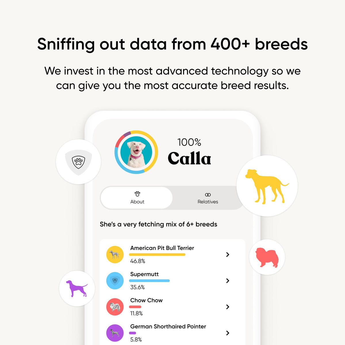 Embark Dog DNA Breed Identification Kit