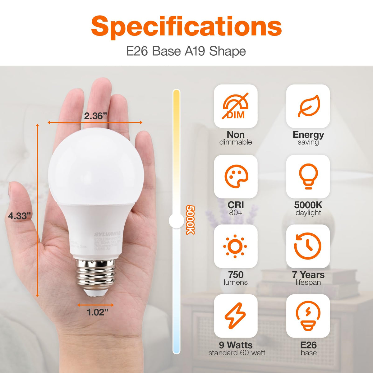 Sylvania ECO LED A19 Light Bulb, 60W Equivalent, 5000K, 8 Count, 40883