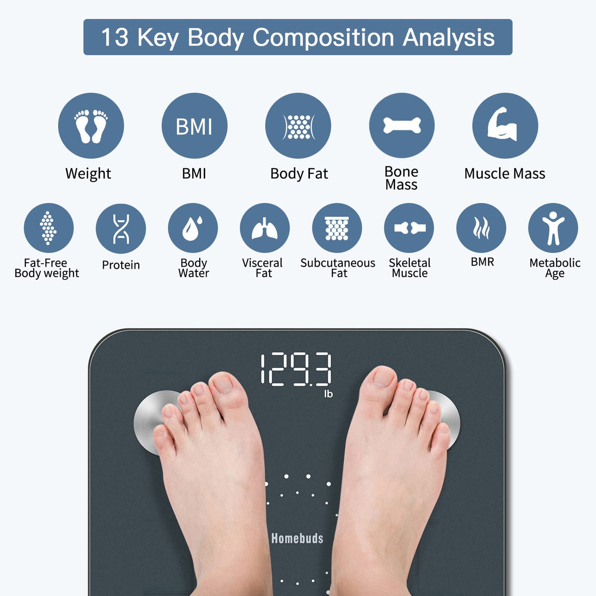 Homebuds Digital Bathroom Scale, Body Fat Monitor, 400 lb, Blue