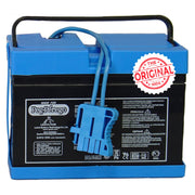 Peg Perego Battery, 12 Volt