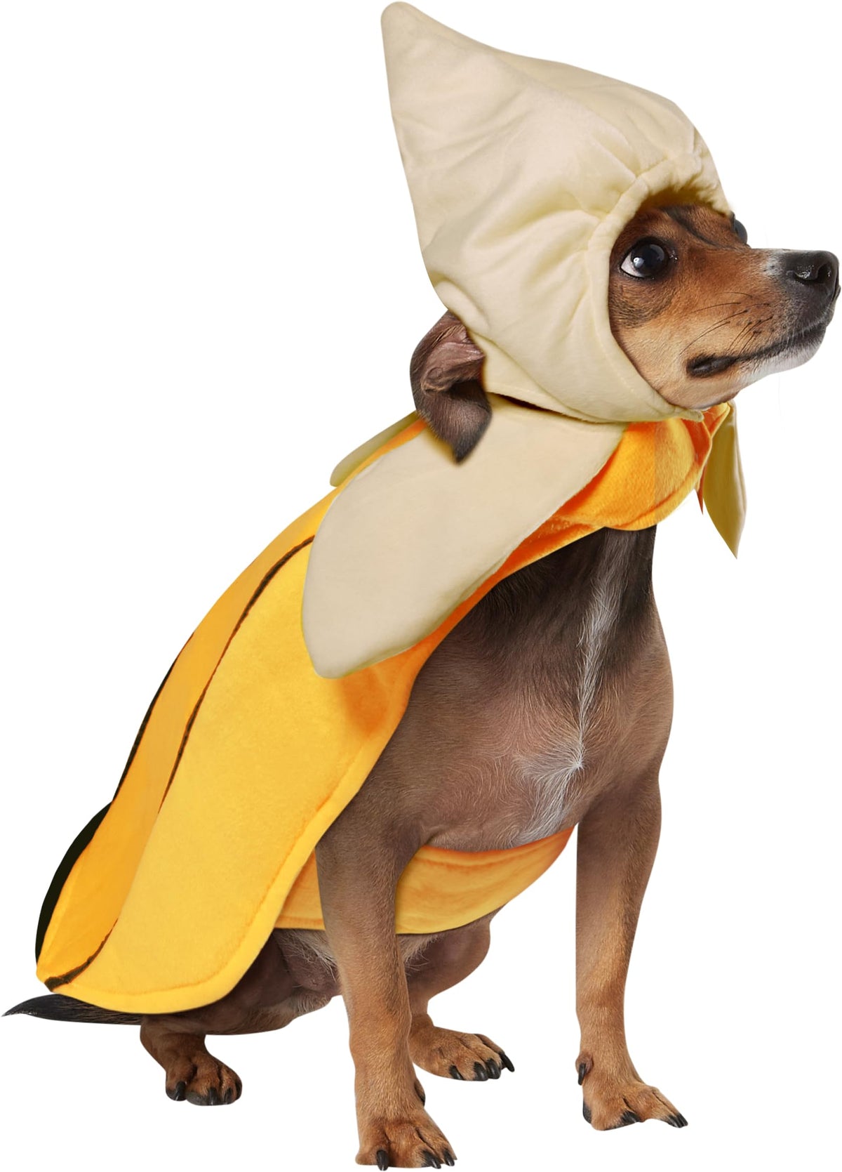 Rubies Halloween Classics Pet Costume, Small, Banana