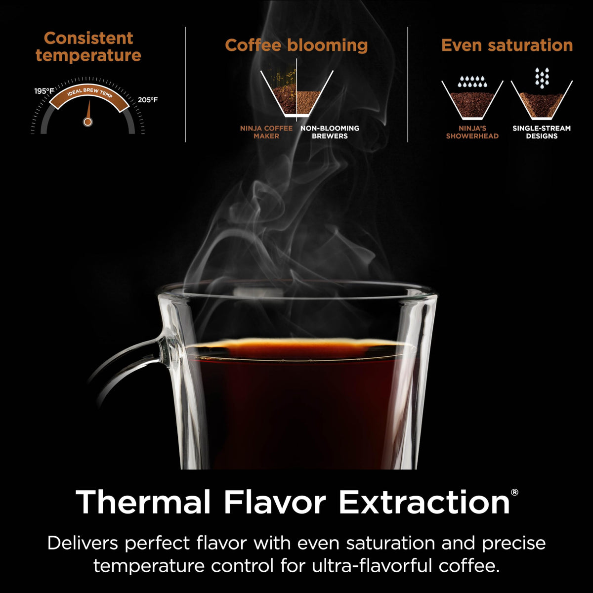 Ninja Hot and Iced Coffee Maker with Rapid Cold Brew, CM360C