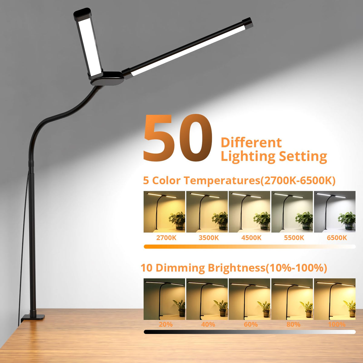 Clamp Desk Lamp with Double Head and 50 Lighting Modes