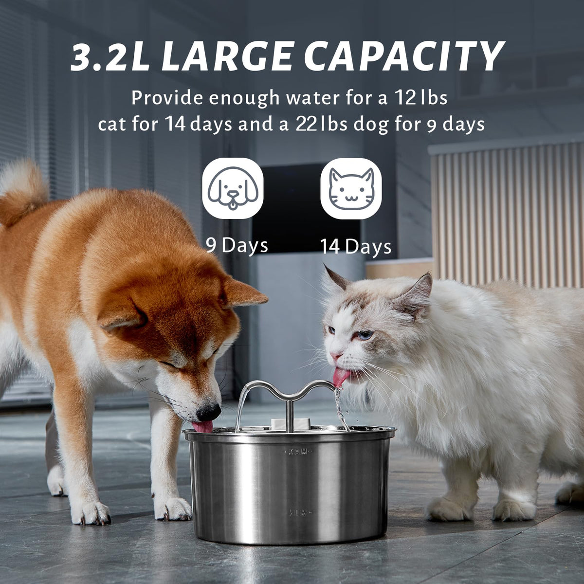 DOOOB Stainless Steel Cat Water Fountain, 3.2 L
